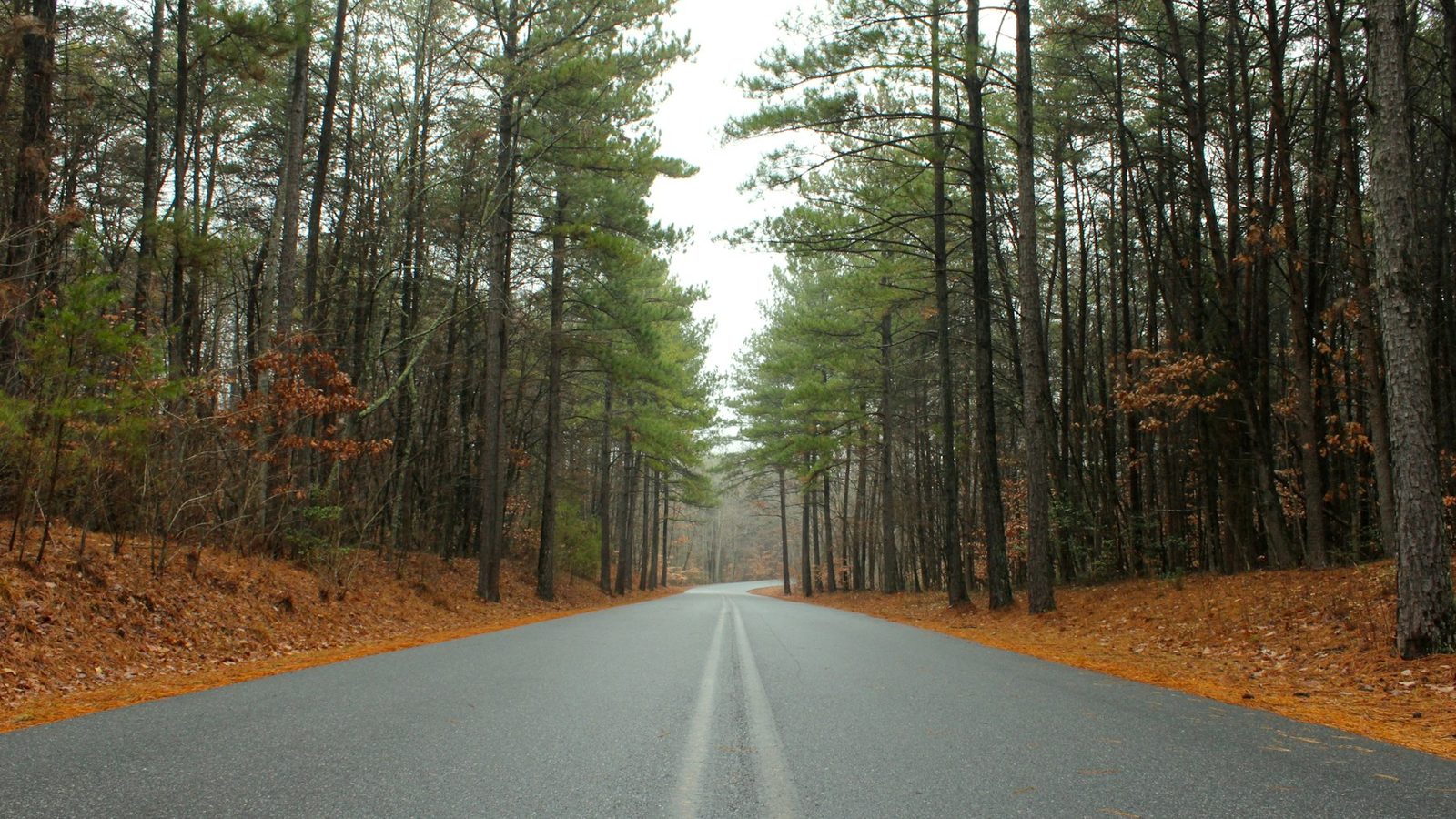 Huntersville area