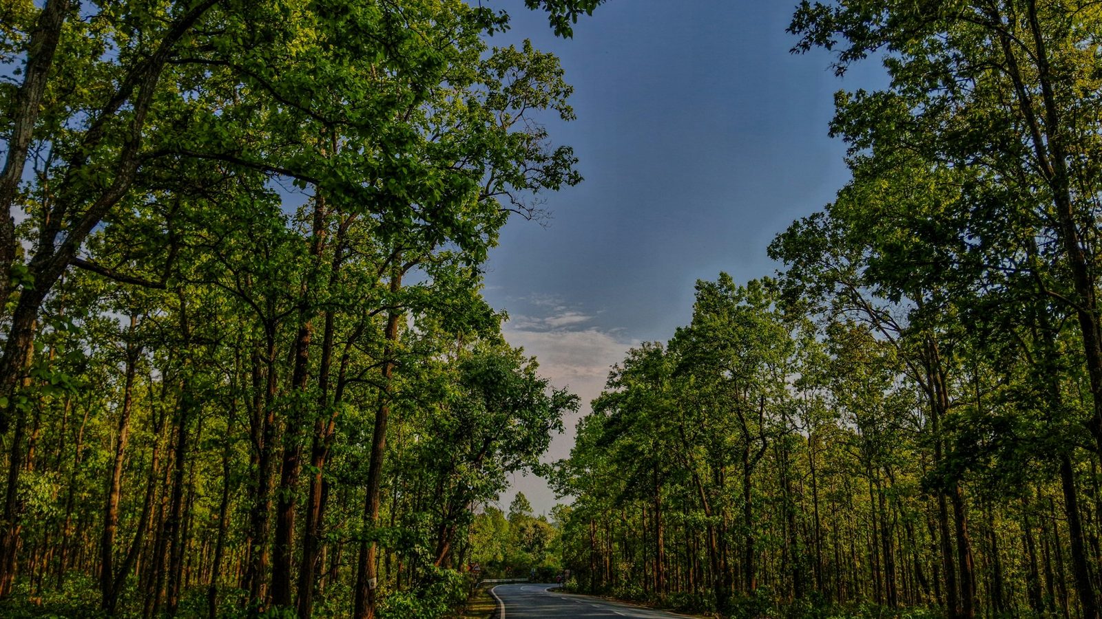 Weddington area