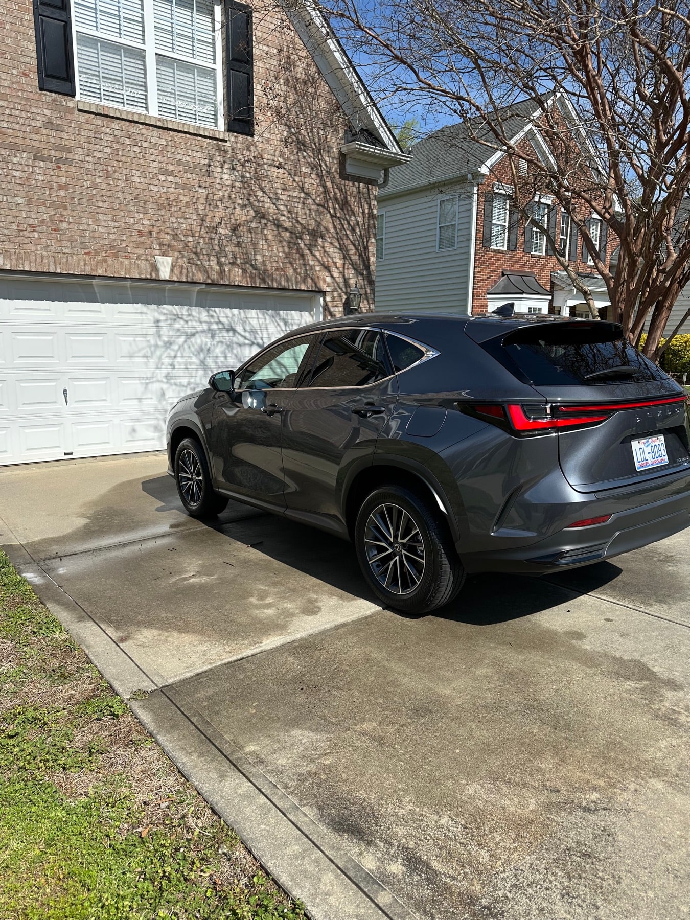 2024 Lexus NX in Myers Park after correction and ceramic